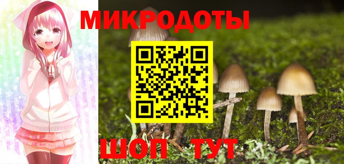 Галлюциногенные грибы мицелий Карталы