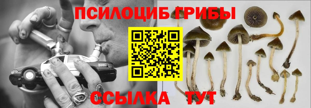 Псилоцибиновые грибы мухоморы  Вход с VPN  Карталы 